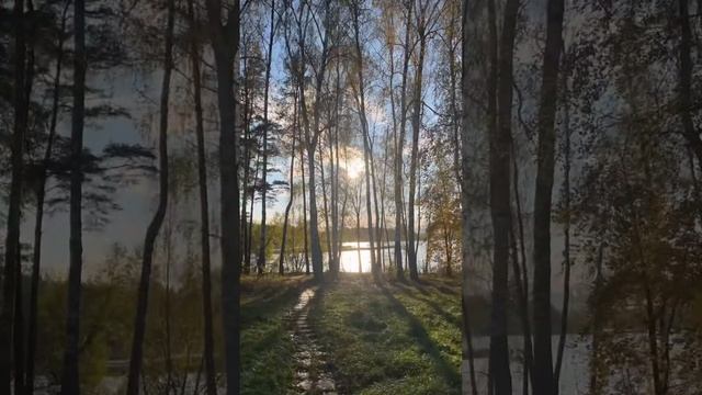 #art #gobelins #tapestry #weaving #ткачество #гобелен #арт #autumn #осень #вдохновение #mood #asmr