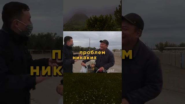 #логистика #экспедитор