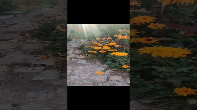 станки