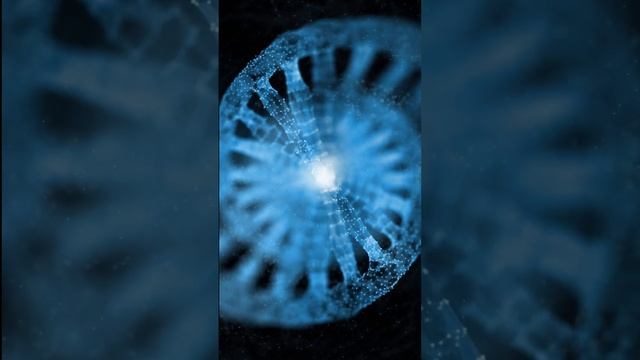 Are Neanderthals 'Human' ?