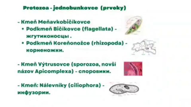 Imunológia - иммунология для поступления в lf uk
