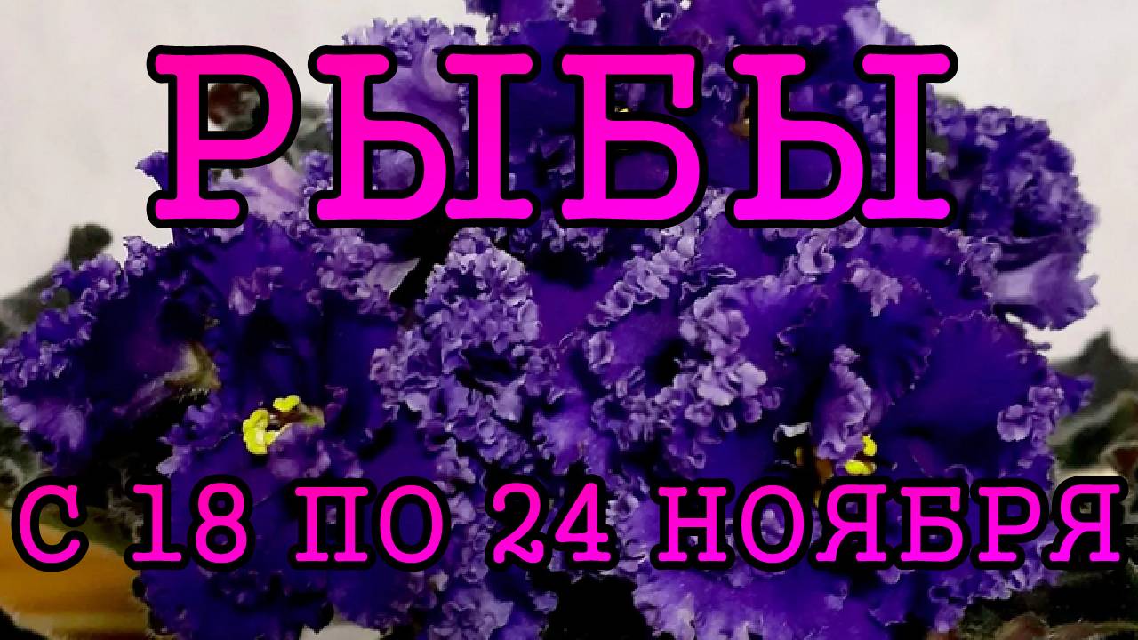 РЫБЫ таро прогноз на неделю с 18 по 24 НОЯБРЯ 2024 года.