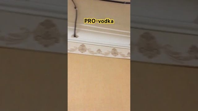 PRO-vodka