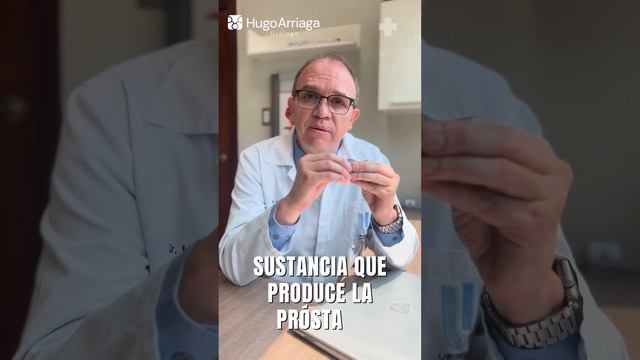 ¿Qué es la prueba PSA y para qué sirve?