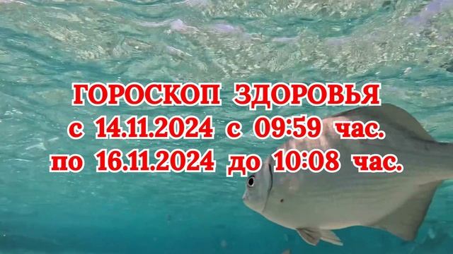 "ГОРОСКОП ЗДОРОВЬЯ с 14 по 16 НОЯБРЯ 2024 года!"