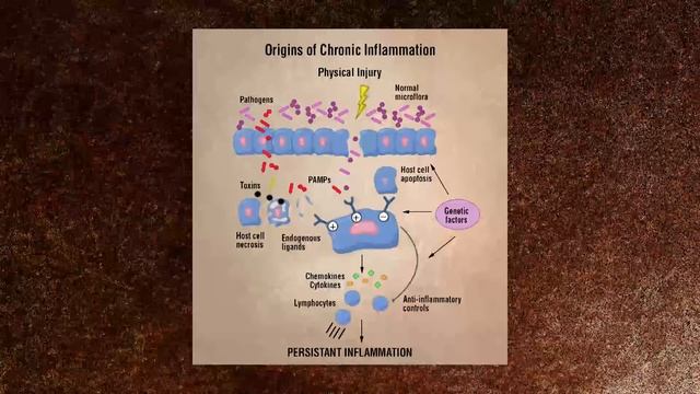 Kyo-Dophilus | Probiotics For Optimum Health