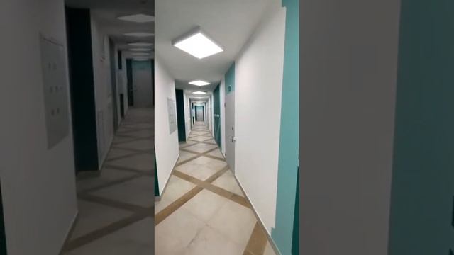 Безвоздушная покраска