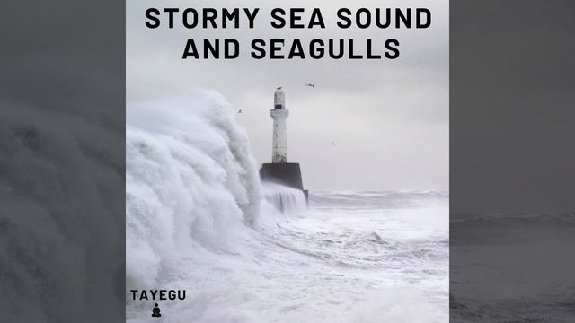 Stormy Sea Sound and Seagulls Winter Ocean 1 Hour Relaxing Nature Ambience Yoga Meditation...