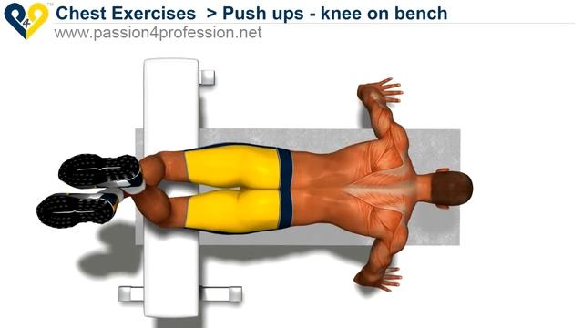 Грудь (пекторальные мышцы) - Push ups   knee on bench