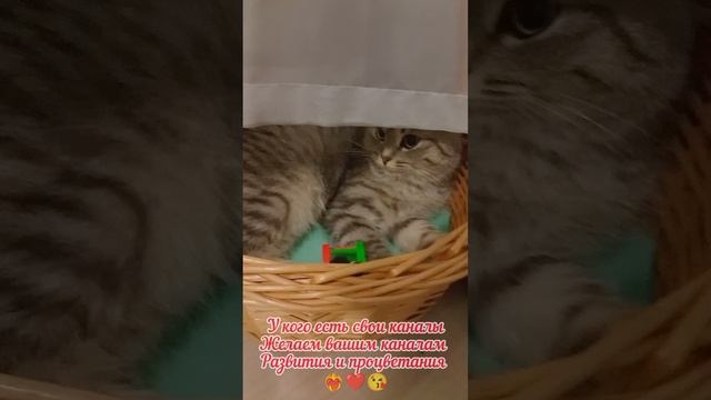 🥳Нас 250 человек 🥳
❤️Огромное спасибо каждому за поддержку ❤️