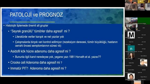 İON 312. Lecture, Tihan: NonGlial Tümörler; SSS'nin Diğer Sık Rastlanan Tümörleri 12.01.2023
