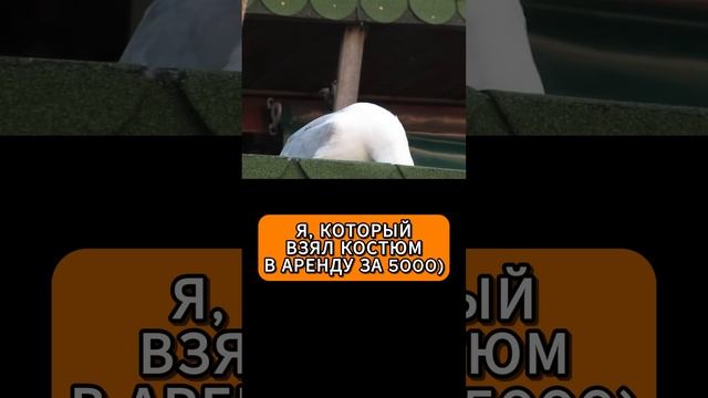 Костюм за 5k #shorts