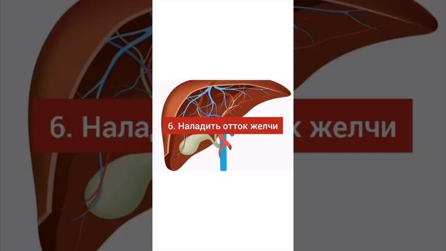 Как растворить камни в желчном пузыре