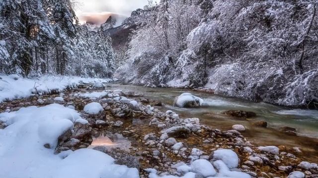 Ледяная Речка | River In Frozen Winter Forest - Живые Обои