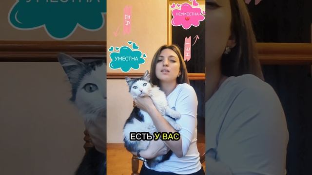 lv_0_20241113172143.mp4