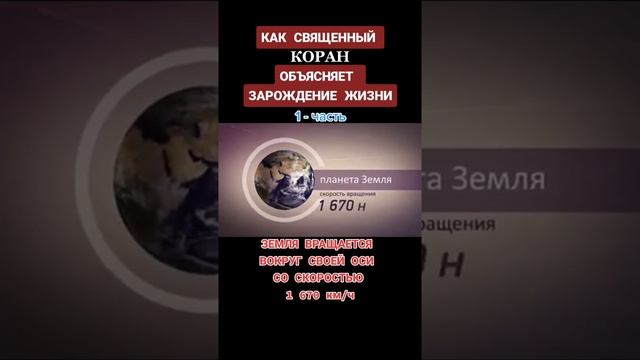 Зарождение жизни.