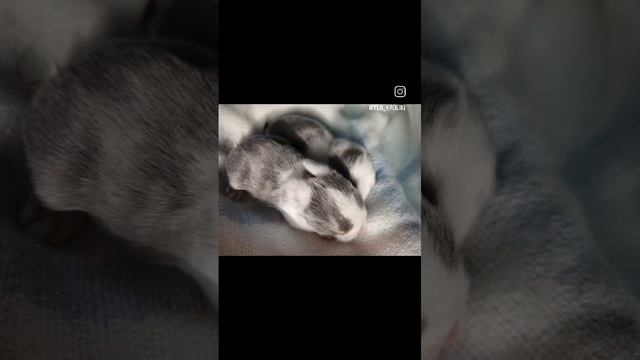 WhatsApp Video 2024-11-12 at 19.11.32