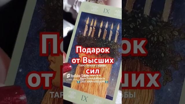 🎁Тебе подарок 🎁