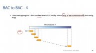 Human Genome Project (in Arabic)