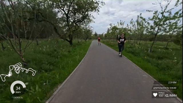 Лыжероллерная трасса в Алешкино | Обзор Сергея Корсакова