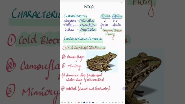 Frog 🐸 #neet #cbse #biology #neetaspirant #zoology #bioneetology #frog