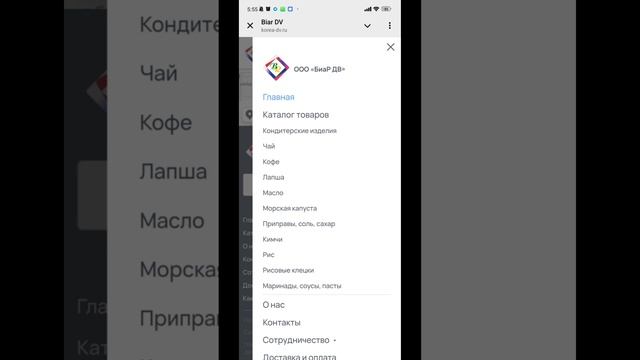 Кейс по разработке сайта для ООО «БиаР ДВ» — мобильная версия