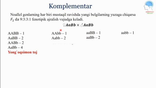 Noallel genlarning KOMPLEMENTAR ta'siri || Ноаллел генларнинг КОМПЛЕМЕНТАР таъсири