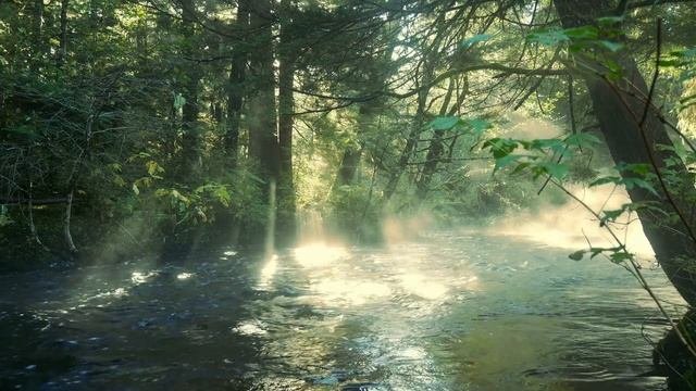 Благородство человеческой души