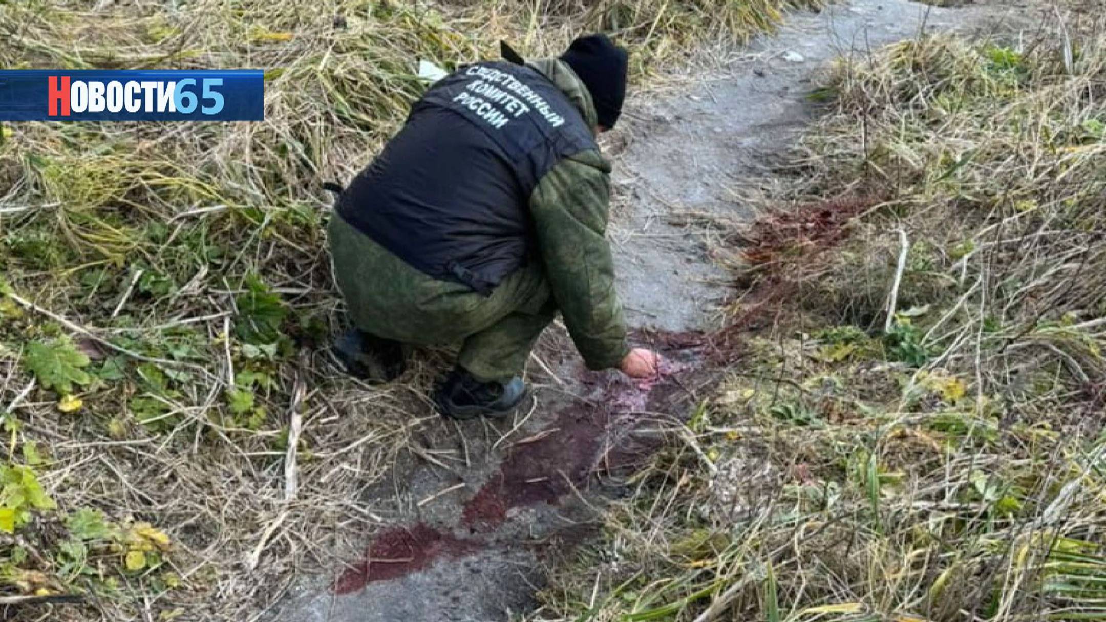 Нападение медведя и ДТП. На Сахалине сразу несколько островитян стали заложниками ситуации