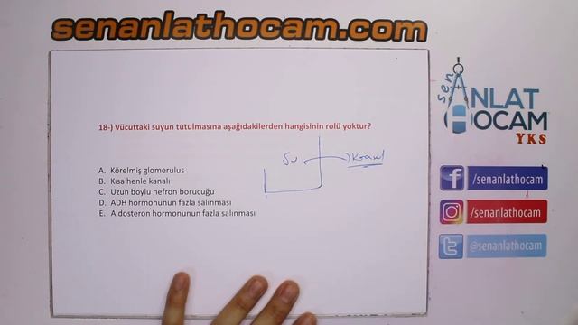 BOŞALTIM SİSTEMİ SORU ÇÖZÜMLERİ 5  | AYT BİYOLOJİ | ✅