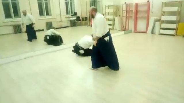 Различные техники контроля в одном из базовых входов.Various control methods  Martial arts, Sinten,