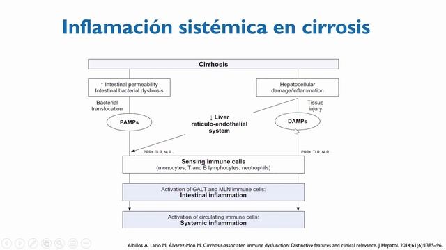 Estado del Arte: Inmunodeficiencias Secundarias (2023)