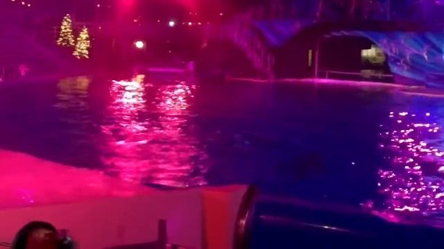 Shamu's Christmas: Silent Night (6:00pm)