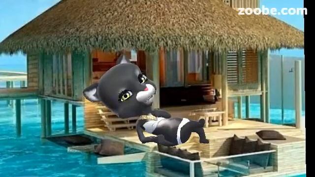Zoobe Cat плохая репутация