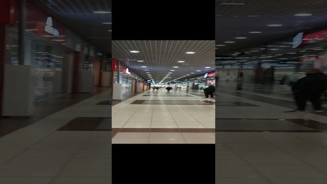 ЦУ Максимус Муссон