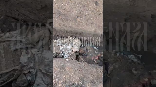 Уничтоженные Всушники в Курской области