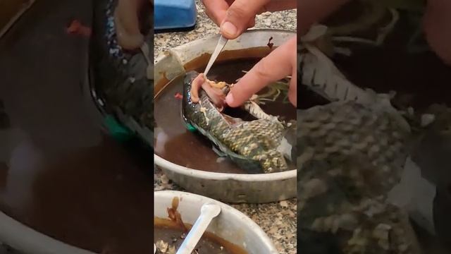 جزء من تشريح السمكه عملي تشريح