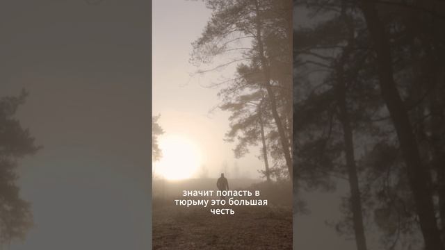 Джанни Родари - "Приключения Чиполлино". Глава 1.