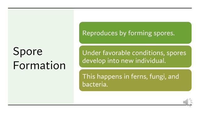 Animal reproduction