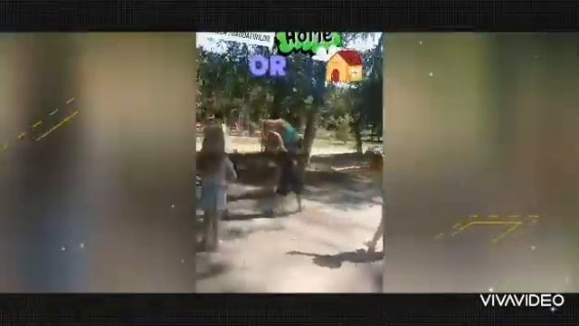 Dansuri pentru copii in Chisinau . Танцы для детей . Ботаника и центр. Кишинев
