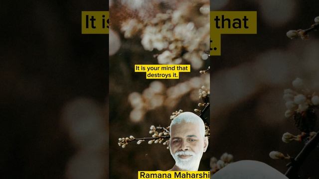 Discovering Inner Peace: Insights from Bhagavan Sri Ramana Maharshi