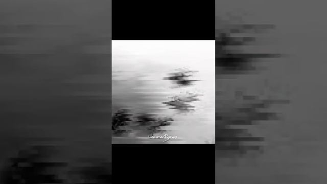 scene_output.mp4