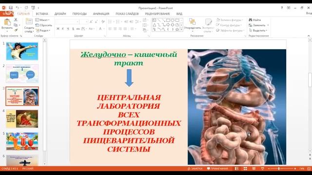 Инстинкт жизни