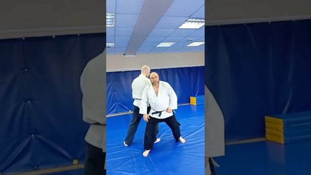 # Эффективное айкидо tel:+79316303035 Тренировка Синтэн-рю Айкидзюдзюцу, поворот, уходы от атак.