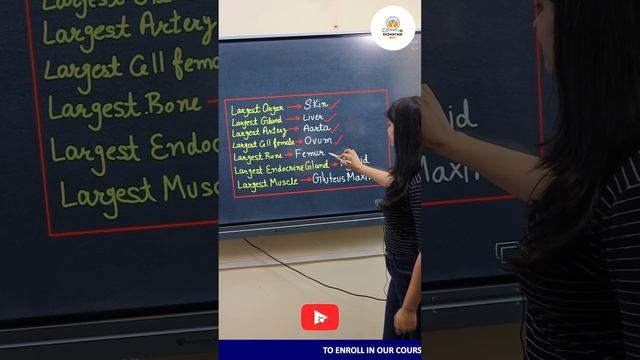 Largest organ|largest Gland|Largest artery|Largest cell female |NEET Biology 2023|Mcq| EKDANTAM NEE