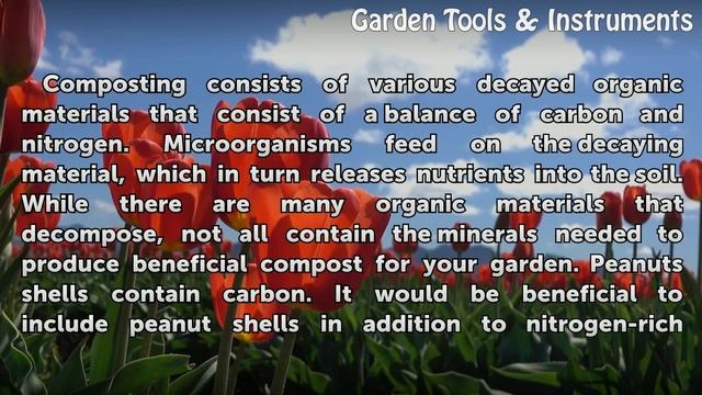 Can You Fertilize With Peanut Shells?