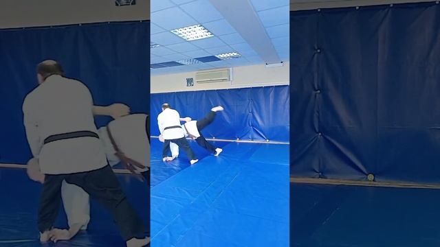 Sinten-ryu aiki-ju-jutsu / aikido, Кайтэн Синтэн-рю