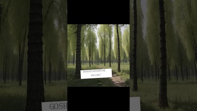 GoshaTumanRhyme - Рассвет(Single 2024)