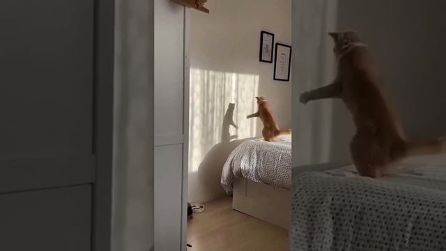 Всем доброго и бодрого утра:)