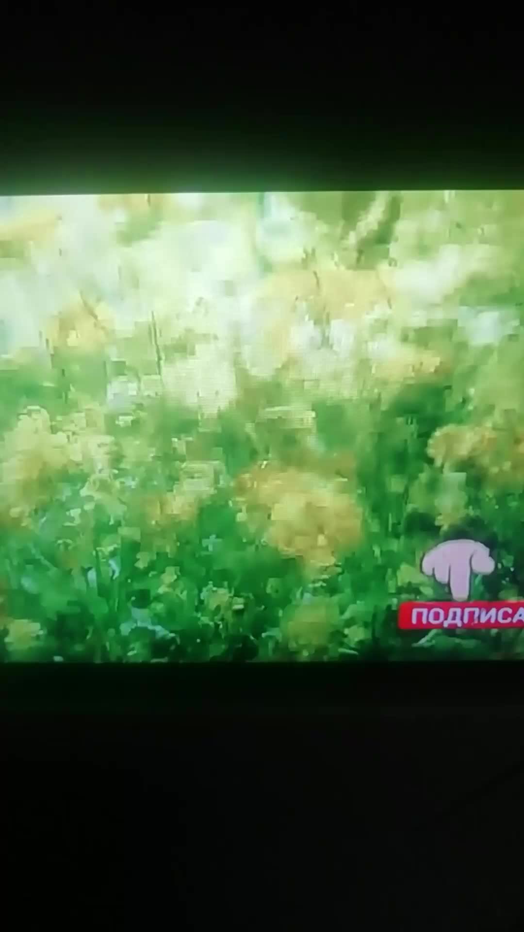 Музыка для души!